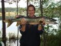 3,6 kg hauki 