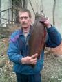 Pohdon Jukka 4.4kg Kirre Siurosta