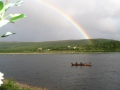 Taianomaista tenoa