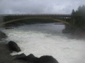 Jockfall