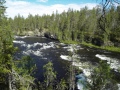 Kitkajoki, harjakoski