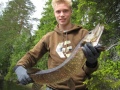 Jänkhäkoira Jänkhäkoira