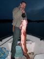 Hauki 8,25 kg Hauki 8,25 kg