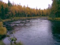 Kalapaikka Javarus joella