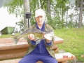 Kuha 4,2kg Kuha 4,2kg