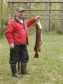 Hauki 8,5 kg
