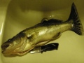 Kuha 1,3kg Kuha 1,3kg