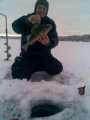 Mukavia ahvenia Norrbottenin mets�lampareista!