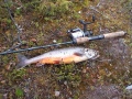 Isompi ehk� ensikes�n�...
