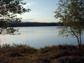 Kaunismaisema