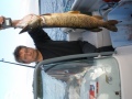 Saalis 4,5kg Saalis 4,5kg