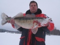 Markku Korhosen pilkki kuha 5.3kg