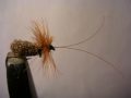 Goddard caddis