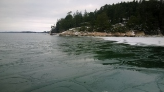 Airistolla pilkki puuhissa