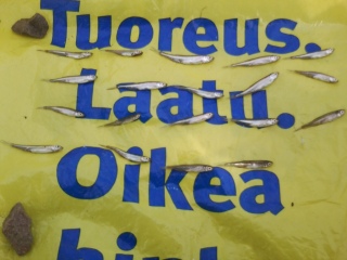 M�lsill� kalassa