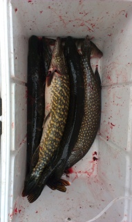 sampaapuhoslahti