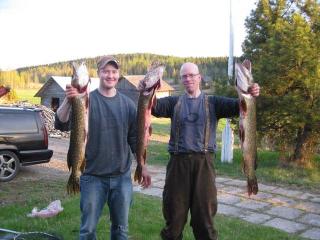 N�lk�si� haukia N�l�nn�ll�