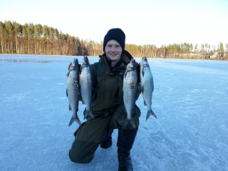 Siikapilkill� It�-Suomessa
