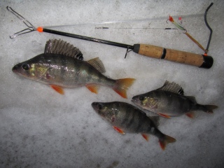 Ottipaikkojen etsint� Tre Pyh�j�rvi