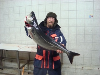 Andorja syyskuu 2009