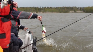 LordsOfFishing Tammisaaressa osa 2