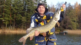 LordsOfFishing yritt�� viel�