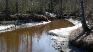 Yl�j�rven kalasiepparit