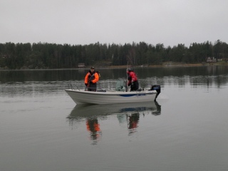 LordsOfFishing