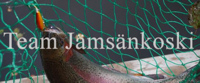 Tiimin logo