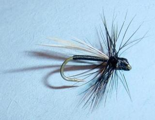 Black Gnat, Black Gnat