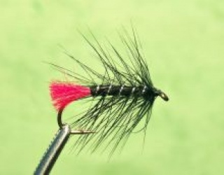 Black Zulu, Black Zulu