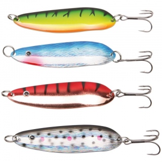 M-Raider, Daiwa