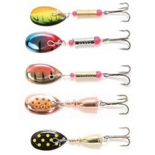 M-Spin, Daiwa