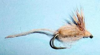 Emergent Sparkle Pupa, Emergent Sparkle Pupa