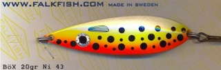 B�x, Falkfish