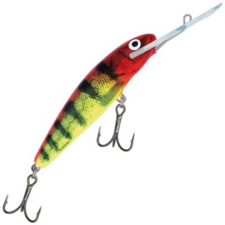 Minnow, Salmo