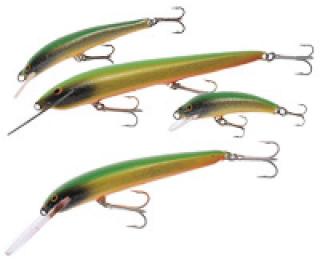 Invincible DR, Nils Master