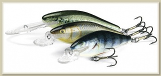 Executor, Salmo