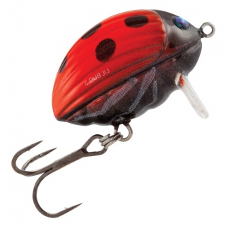 Lil Bug, Salmo