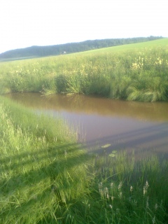 J�nhijoki