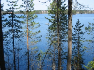 Kyyn�m�inen