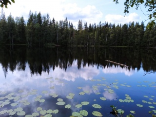 Lemitj�rvi