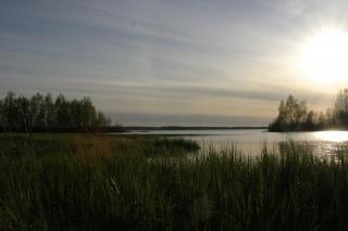 N�l�nt�j�rvi