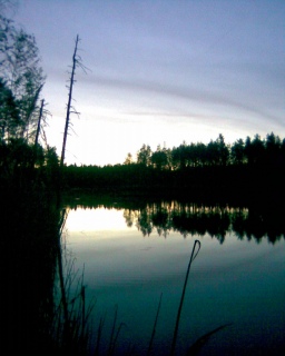 Salmij�rvi