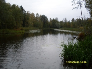 Toivanjoki